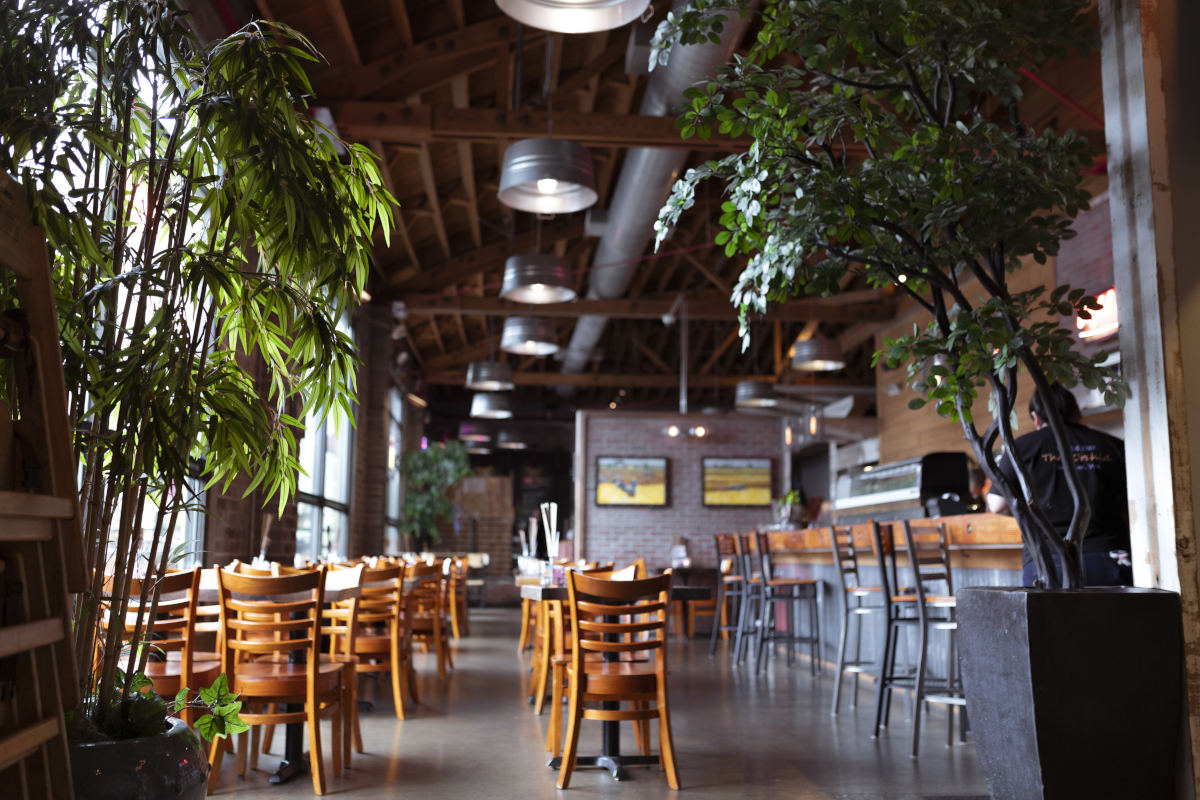 interior, sitting area, plants